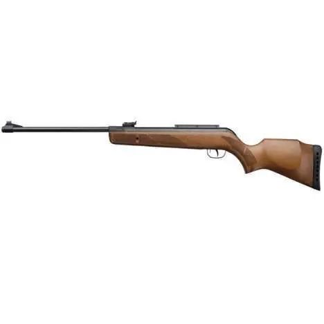 GAMO Hunter 400 .22 (With Scope & Mounts)